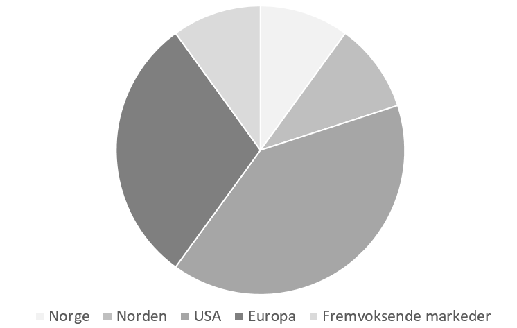 Eksempel på en overordnet struktur for en strategisk portefølje med 10 prosent Norge, 10 prosent Norden, 40 prosent USA, 30 prosent Europa og 10 prosent fremvoksende markeder.